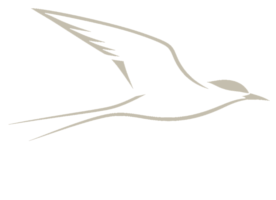 Tern
